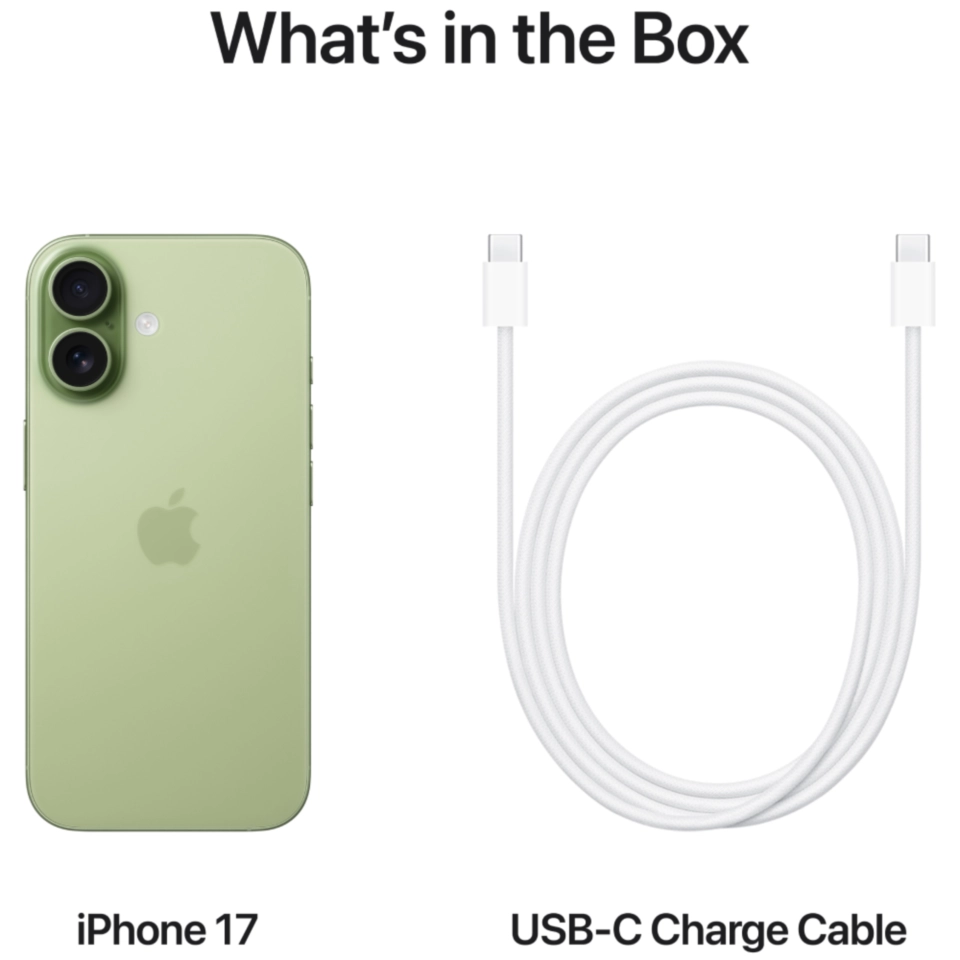 iPhone 17 256ГБ Шалфейный